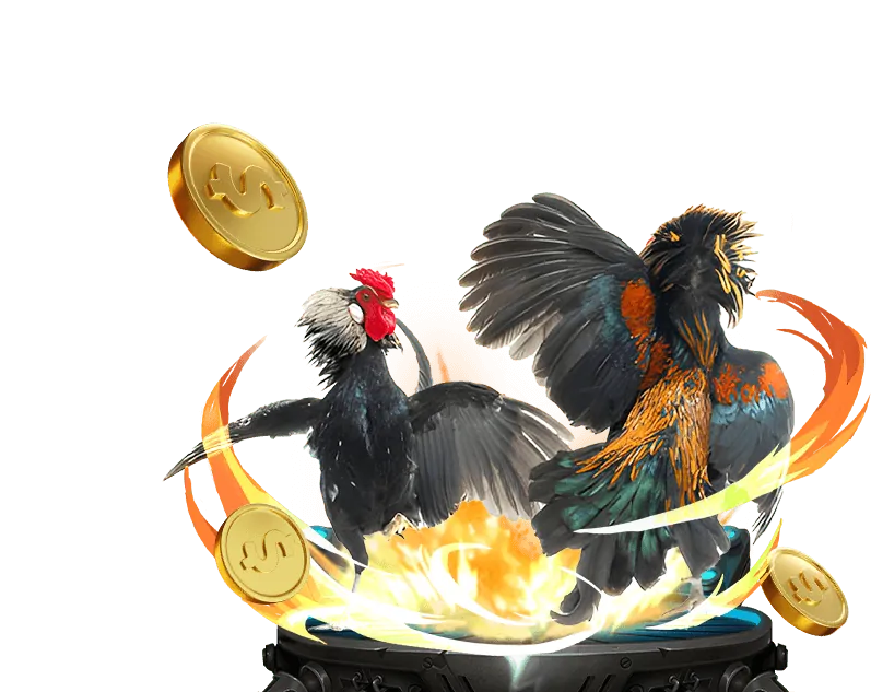 Các loại hình đá gà phổ biến tại ff66 win